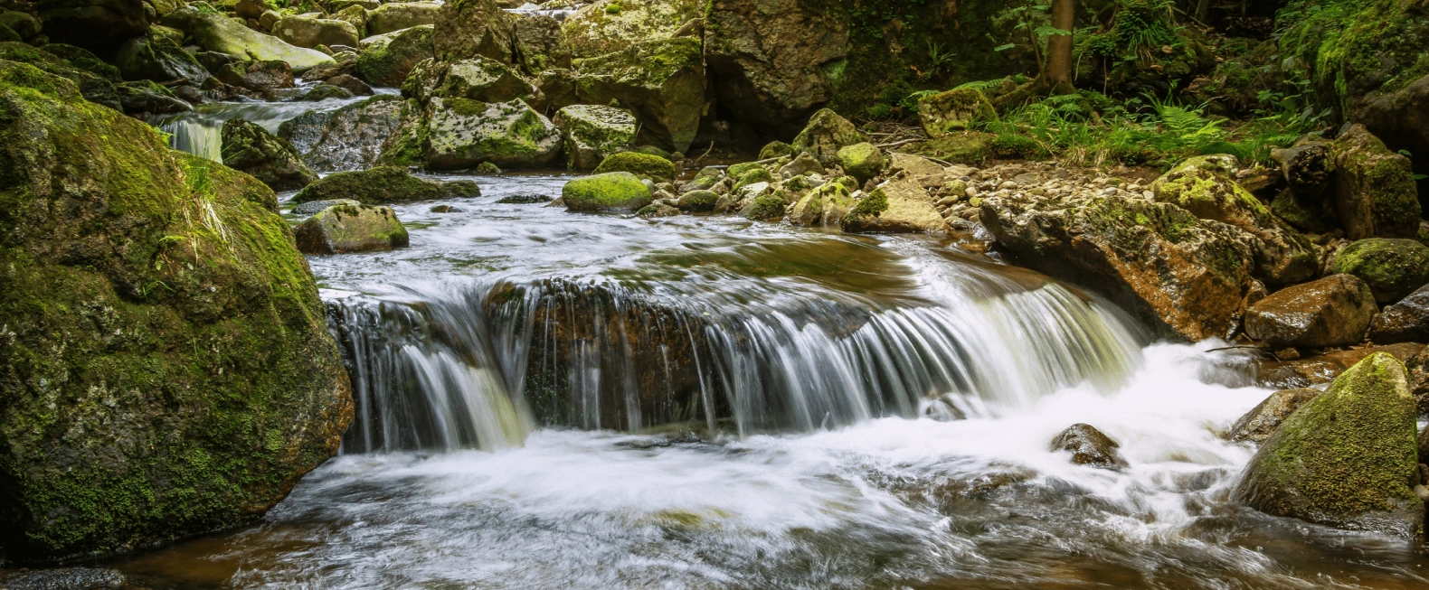 AQUACHIARA-limiter-impact-plastique-jetable